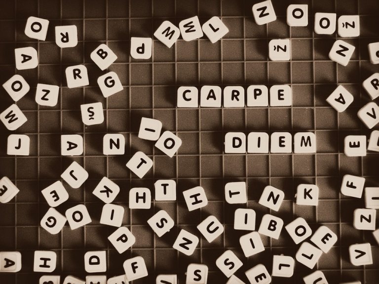 carpe diem acronym crossword